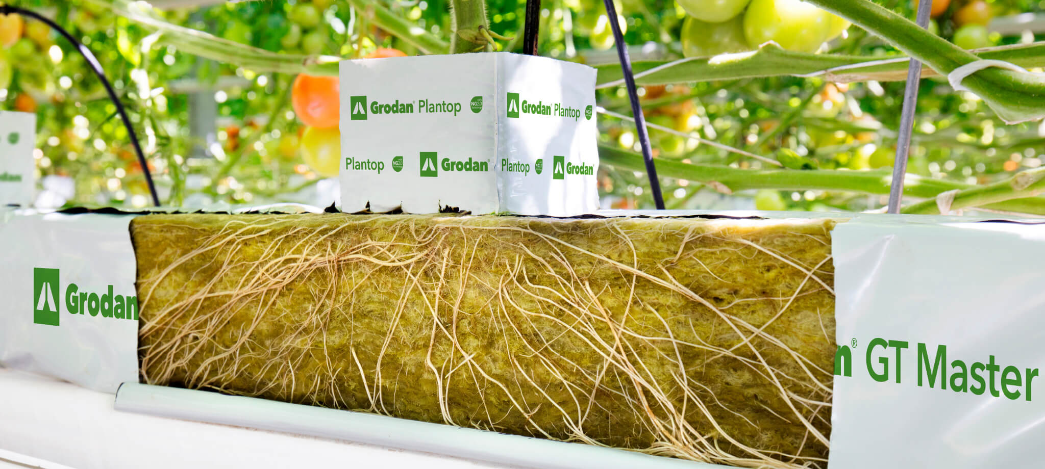  PTSDサポートグループ